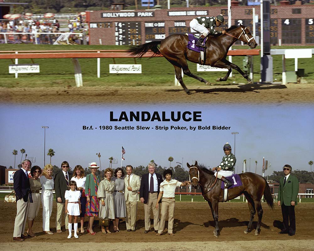 Landaluce , Laffit Pincay up,  in the Winners Circle at Hollywood Park after her spectacular 21-length record-breaking win in the Lassie Stakes, July 10, 1982.  Pictured are Laura Cotter (third from left), Jeff Lukas (fourth from left), Marcia Fuller French (eighth from left), Nancy Beal, (near flagpole), Barry Beal (near flagpole), Bob French (adjacent), and Wayne Lukas (far right).        Credit:  Benoit Photo 